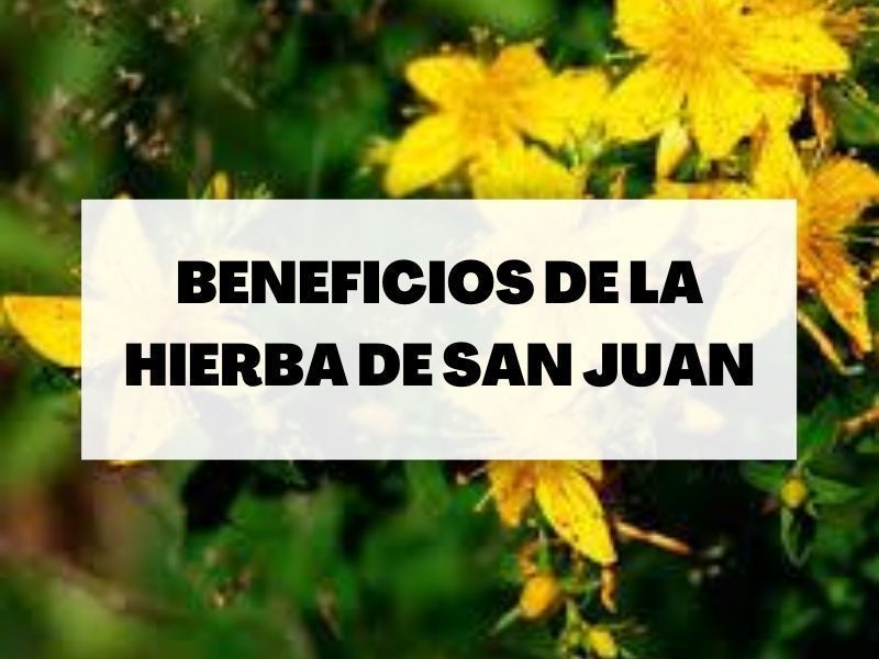portada-hierba-san-juan