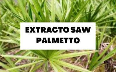 Toda la información sobre el extracto Saw Palmetto