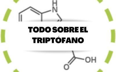 Toda la información necesaria sobre el suplemento de triptófano